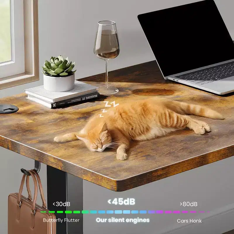 Scrivania elettrica ergonomica sit-to-stand da 63" – Scrivania regolabile in altezza