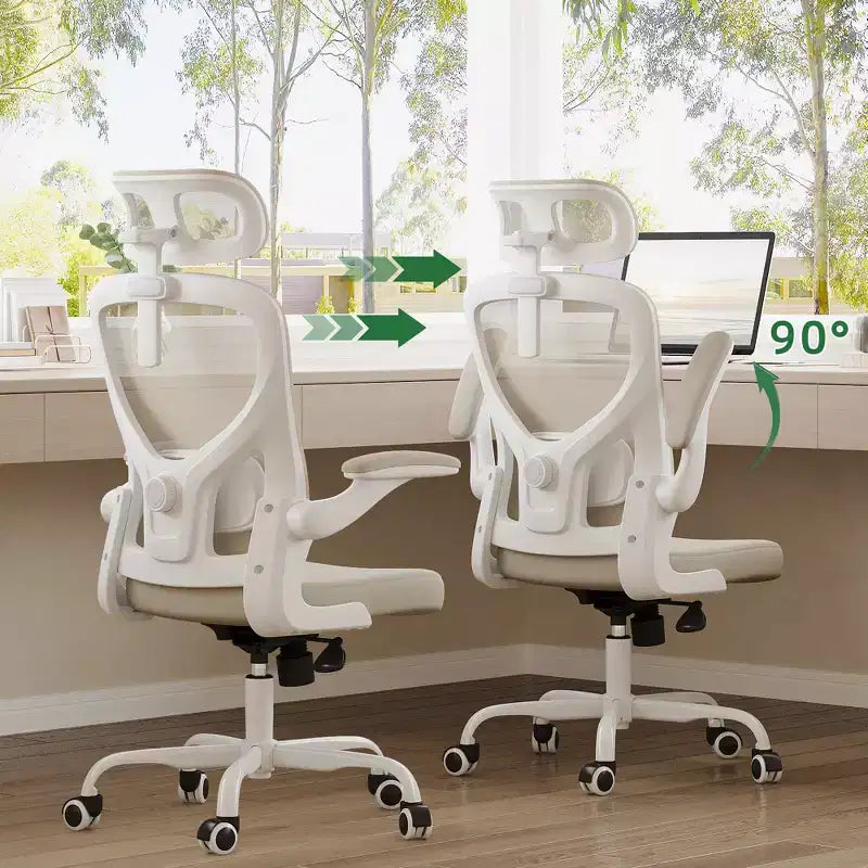 Sedia da Ufficio Ergonomica per Casa con Supporto Lombare – Sedia da Scrivania Regolabile in Rete