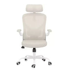 Sedia da Ufficio Ergonomica per Casa con Supporto Lombare – Sedia da Scrivania Regolabile in Rete
